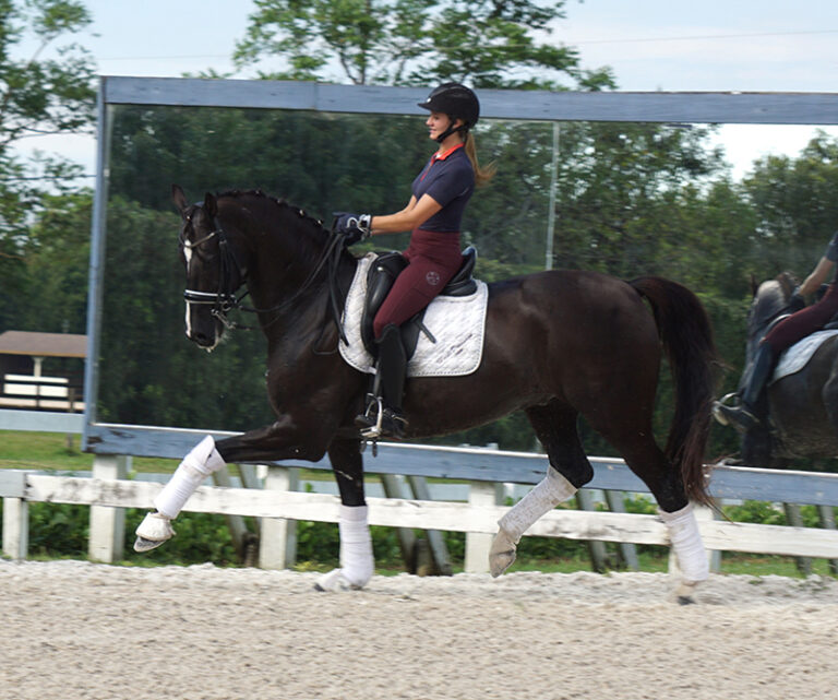 Texas Row trot HM22 Jan 768x641