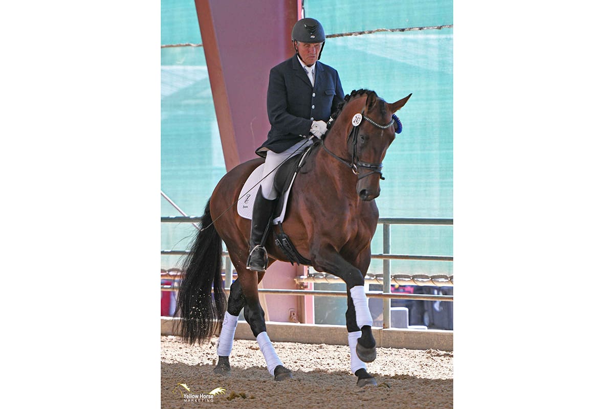 Cover Photo - Willy Arts and DG Bar Ranch’s U.S.-bred KWPN stallion Koning DG, 2019 (Jennifer M. Keeler/Yellow Horse Marketing)