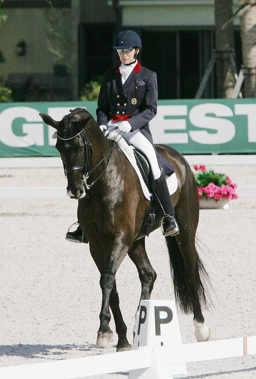 Cover - Angela Jackson and Allure compete at the Global Dressage Festival, 2016.  (Photo: Betsy LaBelle)