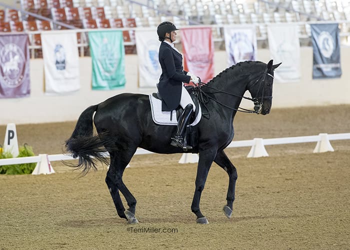 Cover - Ann Romney and Donatello, 2016. (Photo: Terri Miller)