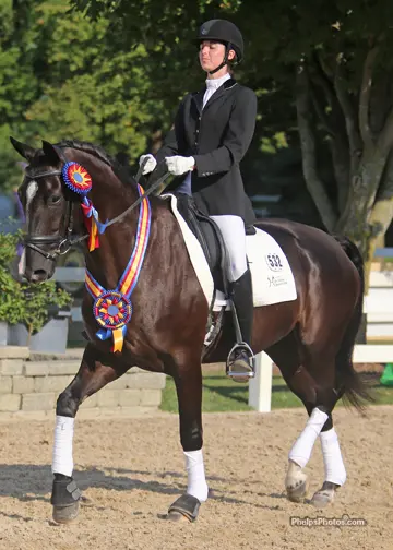 High Valley Hanoverians' won the 2013 Markel/USEF National 4 Year Old Dressage Championship (Photo Credit: Mary Phelps)