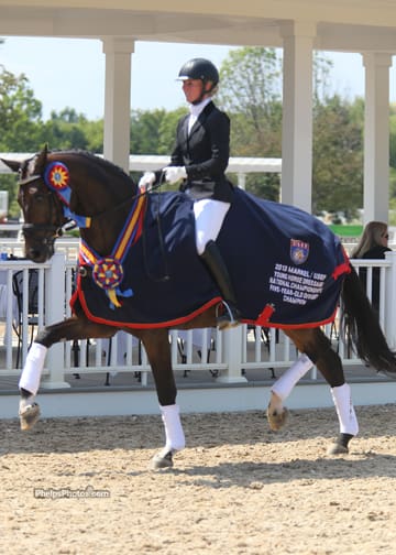 Nadine Burberl and Michael Davis' Fashion Designer O.L.D. (Faustinus x Forst-Design/De Niro) were the 2013 Markel/USEF Five Year Old Champions Photo: Mary Phelps