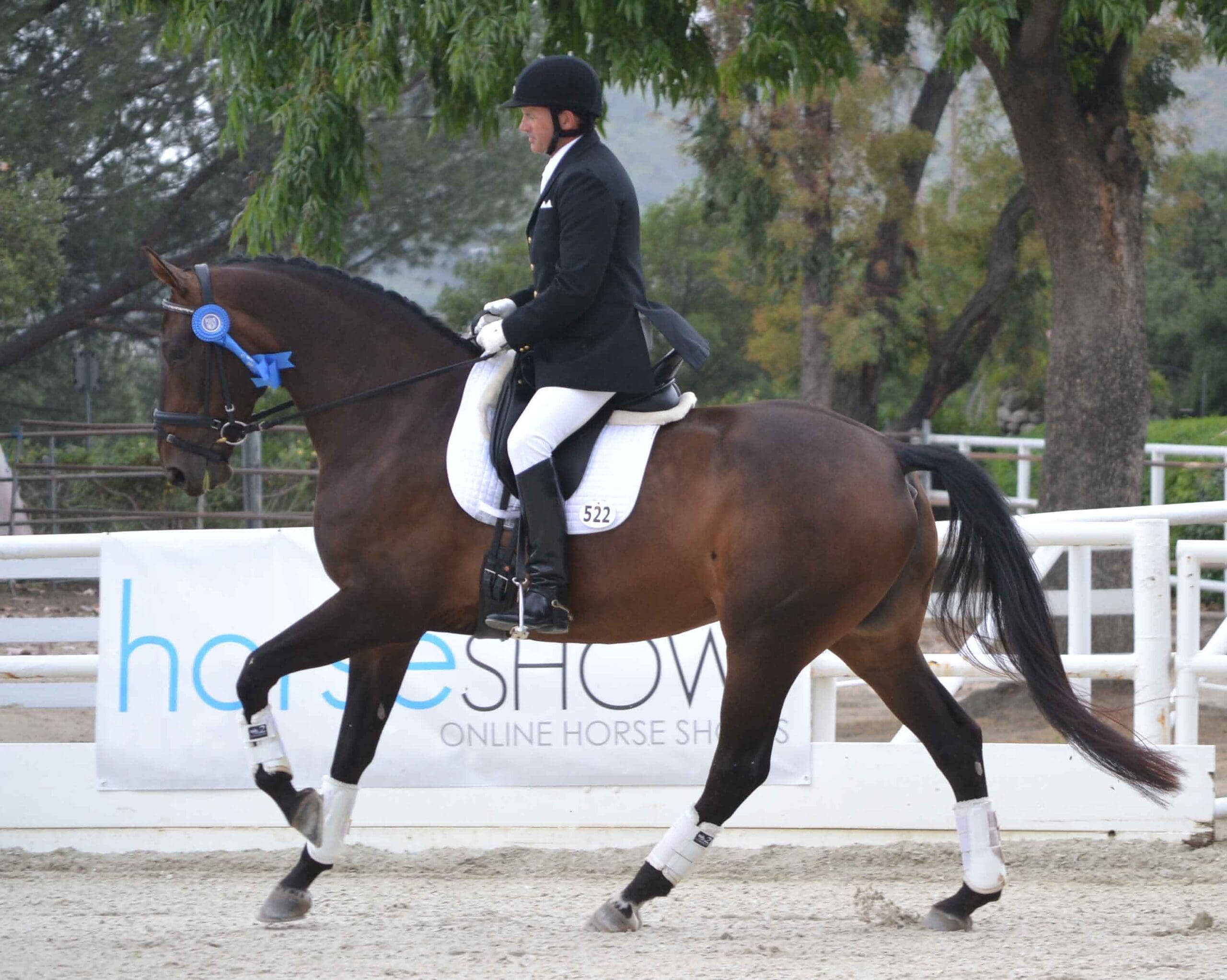 Photo:  Craig Stanley rode the 5-year-old U.S.-bred "Caliente DG" to victory in the opening round of the Markel/USEF Western Dressage Selection Trial on the first day of competition at the Dressage at Flintridge CDI*/Y/J.  (Photo Credit: Jennifer M. Keeler)