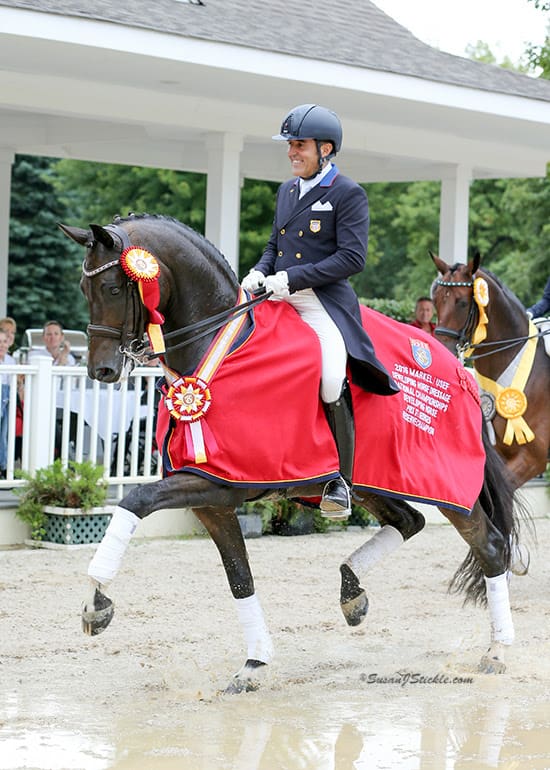 Cover - Performance Farms has earned spots in the top three rankings of horses qualified to compete in the elite Markel/USEF Young & Developing Horse Dressage National Championships for the tenth year in a row 2016, Cesar Parra. (Photo: Susan J Stickle)