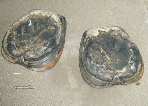 dscf1834