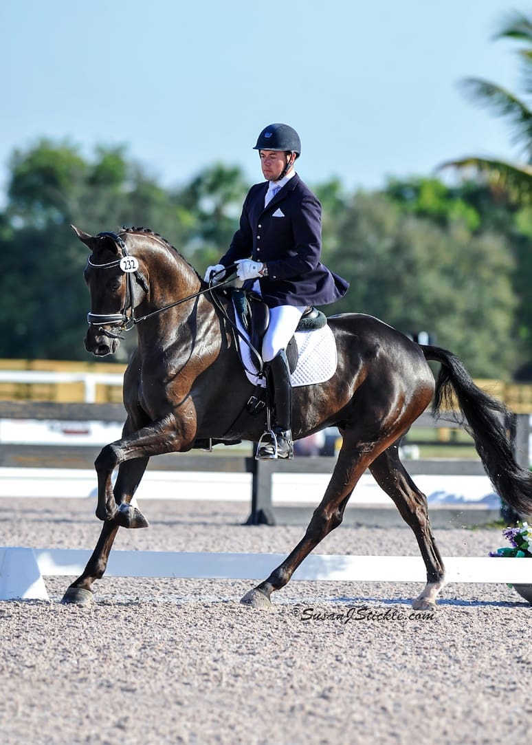 Cover - Endel Ots Hopes to make a Lucky Strike on his 17.1 Hanovarian Gelding Lucky Strike in the 4 yr old division at the Markel/USEF National Young Horse Championships (Photo Courtesy of Susan J Stickle)