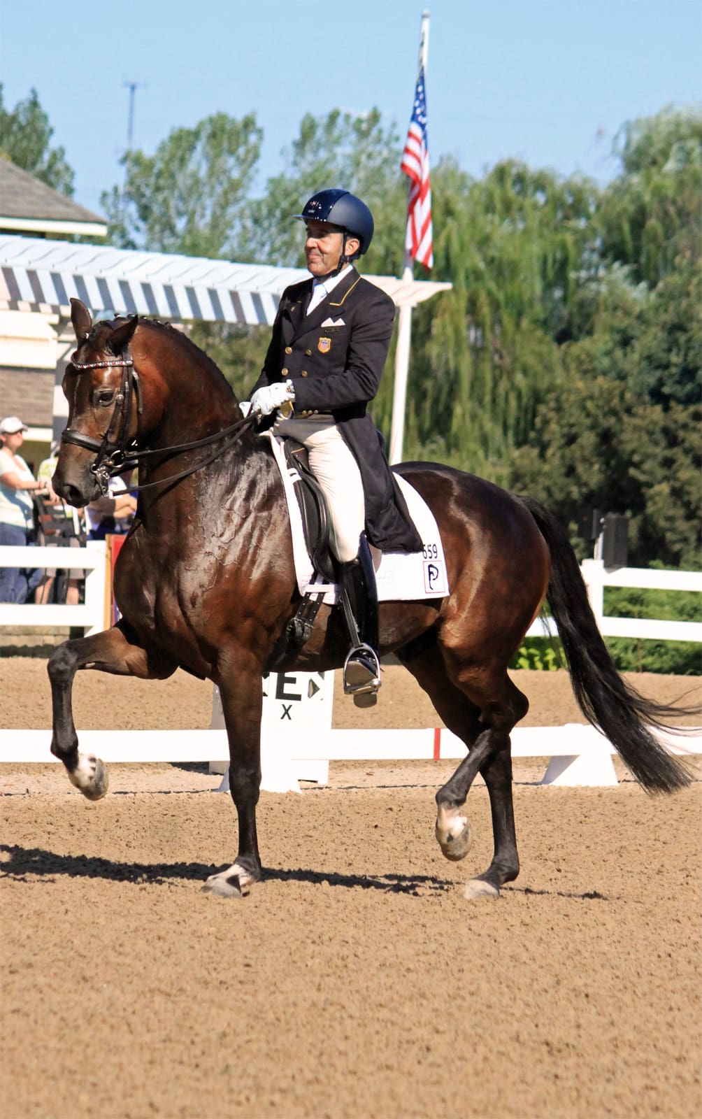 Cover - Dr. Cesar Parra will campaign Fashion Designer OLD in the Developing Prix St. Georges division at the 2016 Markel/USEF Young and Developing Horse Dressage National Championships (Photo: Equinus International)