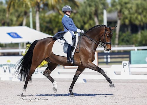 Cover - Susanne Hassler and Harmony's Boitana with a 75.294% in the Markel/USEF Developing Horse Prix St. Georges, 2015. (Photo: SusanJStickle.com)