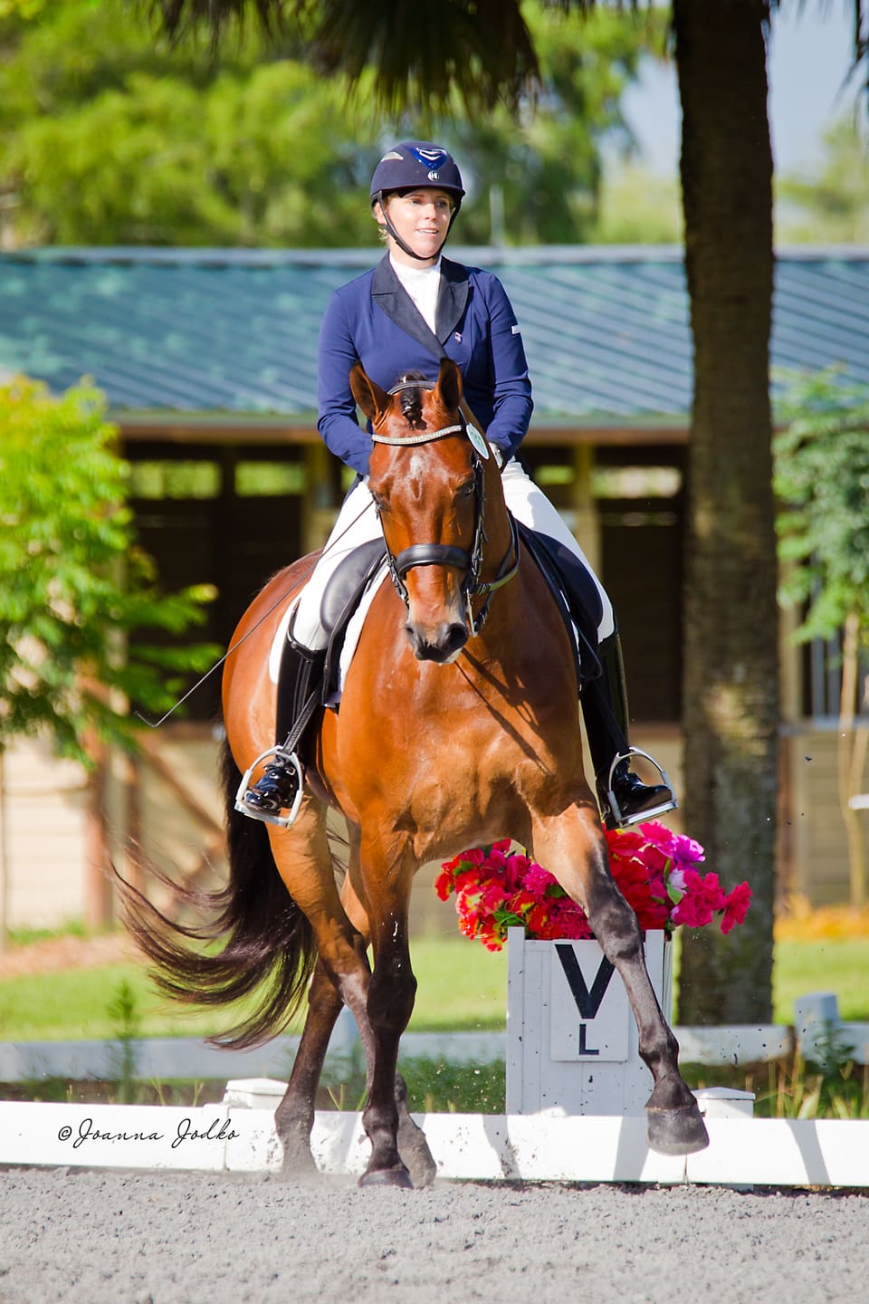 Cover - Heidi Degele Rides Benson HD to High Point with a 79.8% in the Prix St George (Photo: Joanna Jodko)