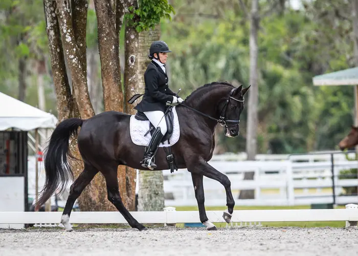 Cover - Heidi Degele and her mount, Don Fredo competing at Welcome Back to White Fences IV
