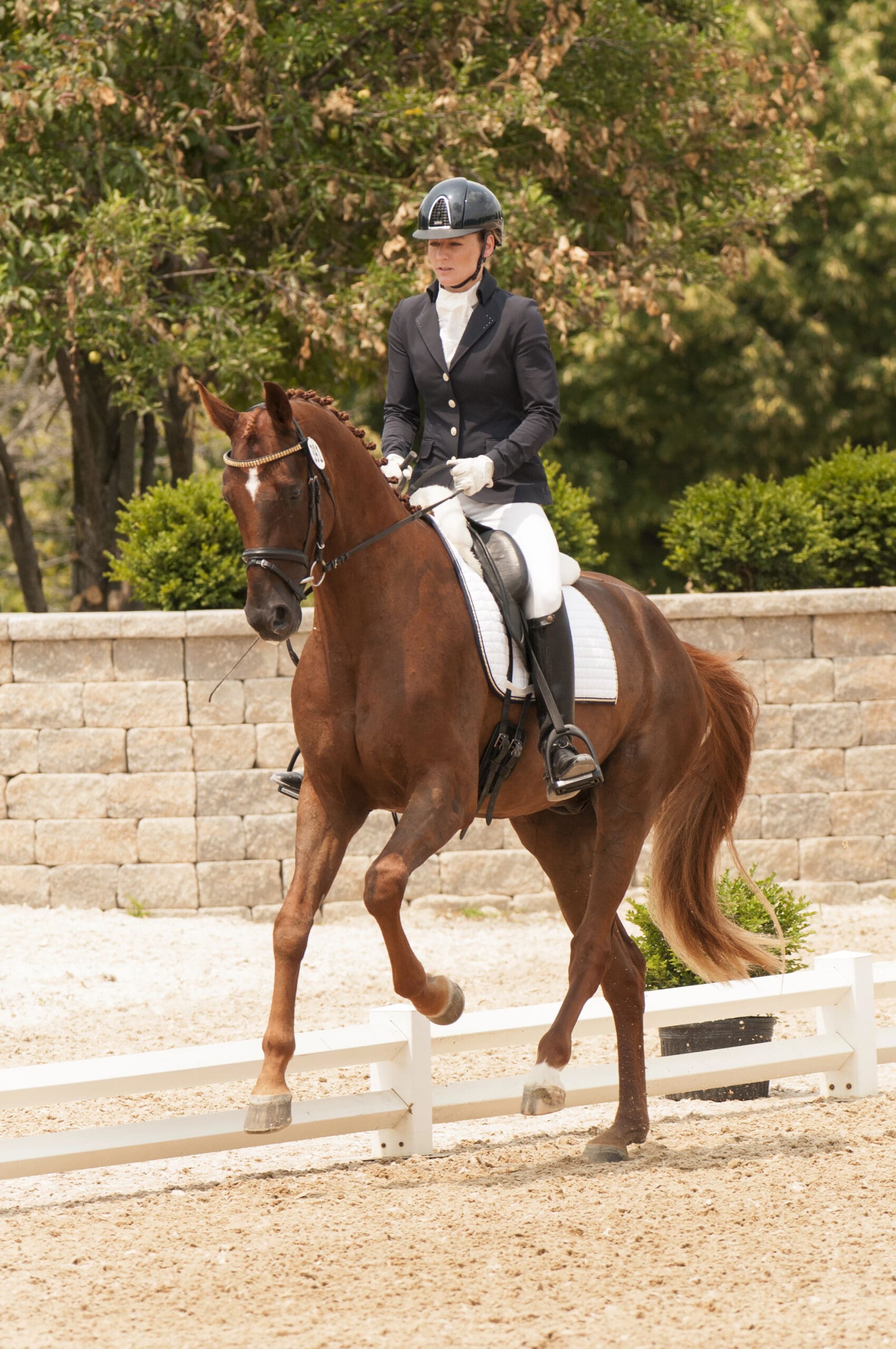 Cover - Agata Rekucka and Solaris (Photo by David Honor)