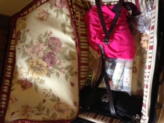 janets-bag1