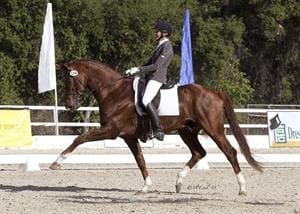 Cover - Charlotte Jorst and Vitalis (Photo: McCool Photography)