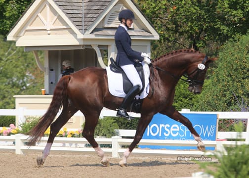 Photo: Mary Phelps - Skagen Holdings' Vitalis (Vivaldi x Tolivia/Donnerschwee) continued to impress to win the Six- Year-Old Championship