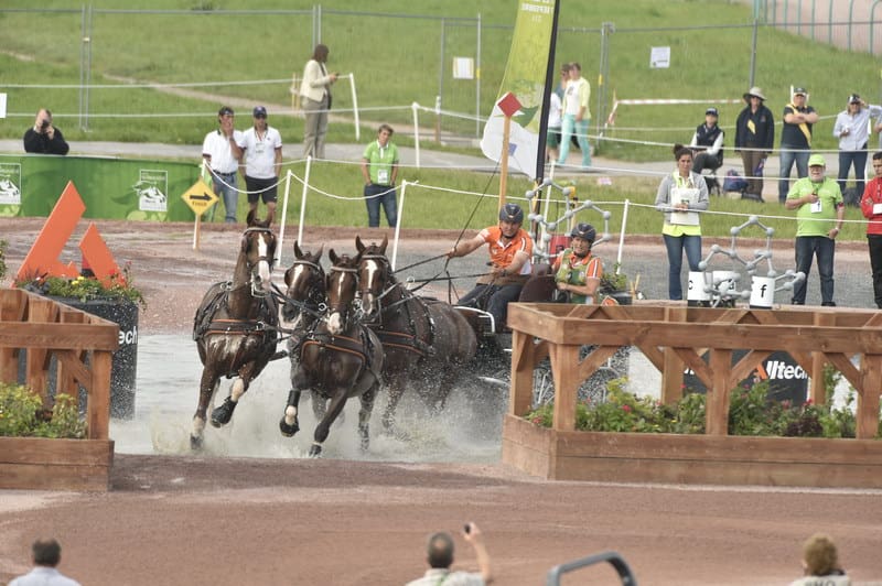 koosderonde-weg1-driving-obstacles-9-6-14-0009952-dderosaphoto