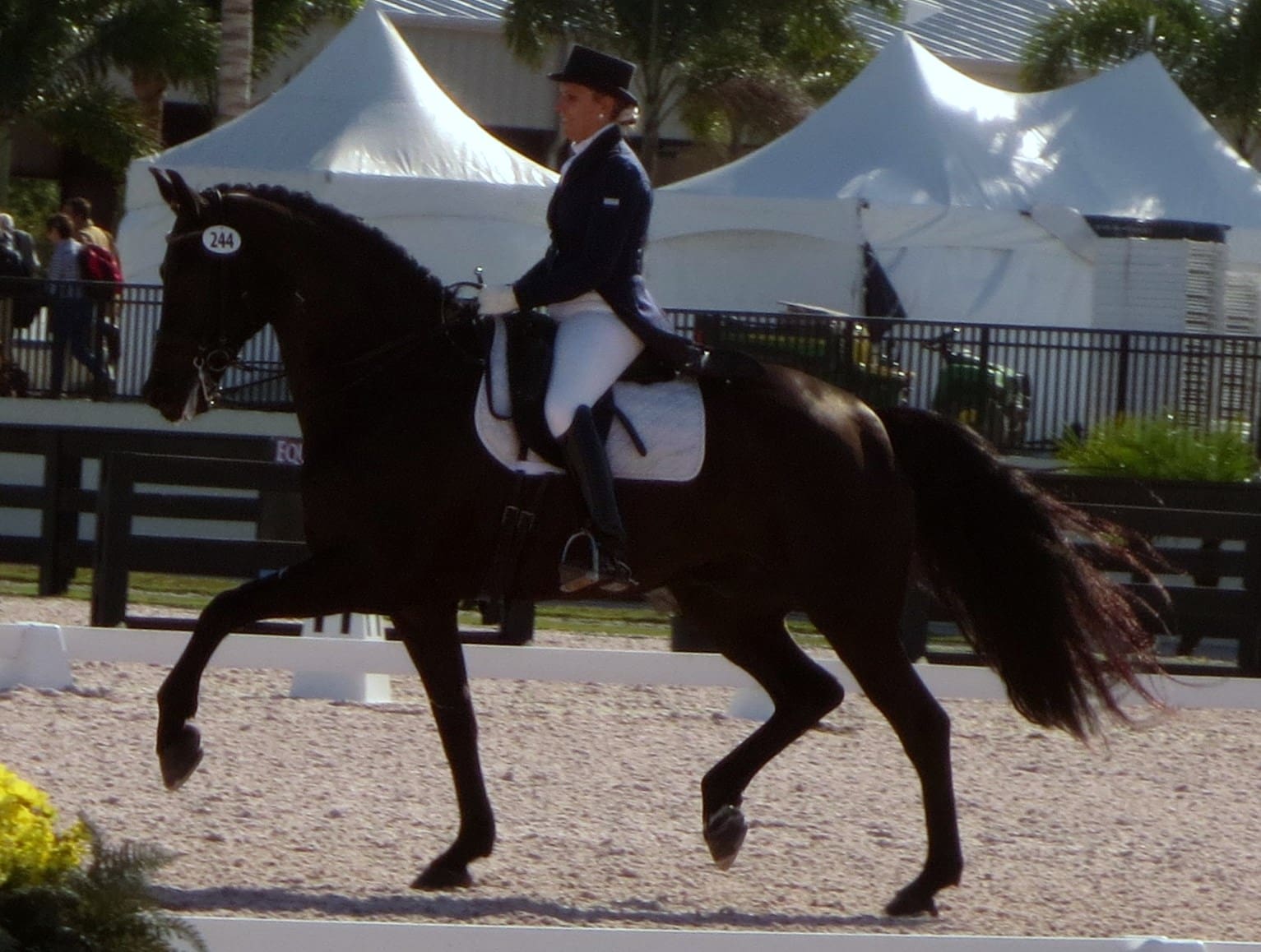 Heidi Degele and Lakota, 2013.