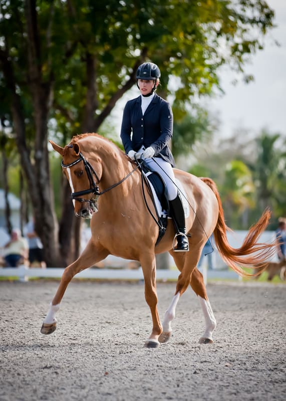marne_martin_tucker_-_royal_coeur_-5522_0