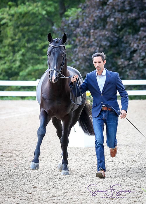 Cover - Michael Bragdell and Debonair MF. (Photo Credit: Susan J Stickle)