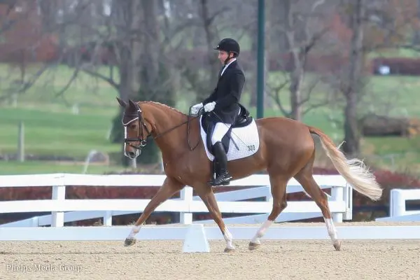 Cover - Mike Suchanek and Fleur de Lis L, pictured at the 2014 US Dressage Finals. (Photo: Mary Adelaide Brakenridge)