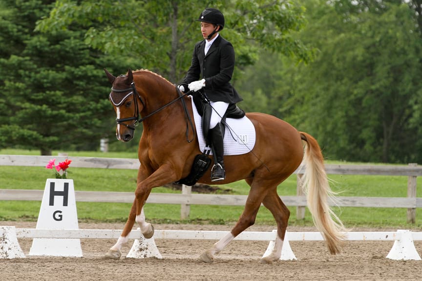 Cover - Mike Suchanek and Fleur de Lis L, 2015. (Photo: DG Photography)