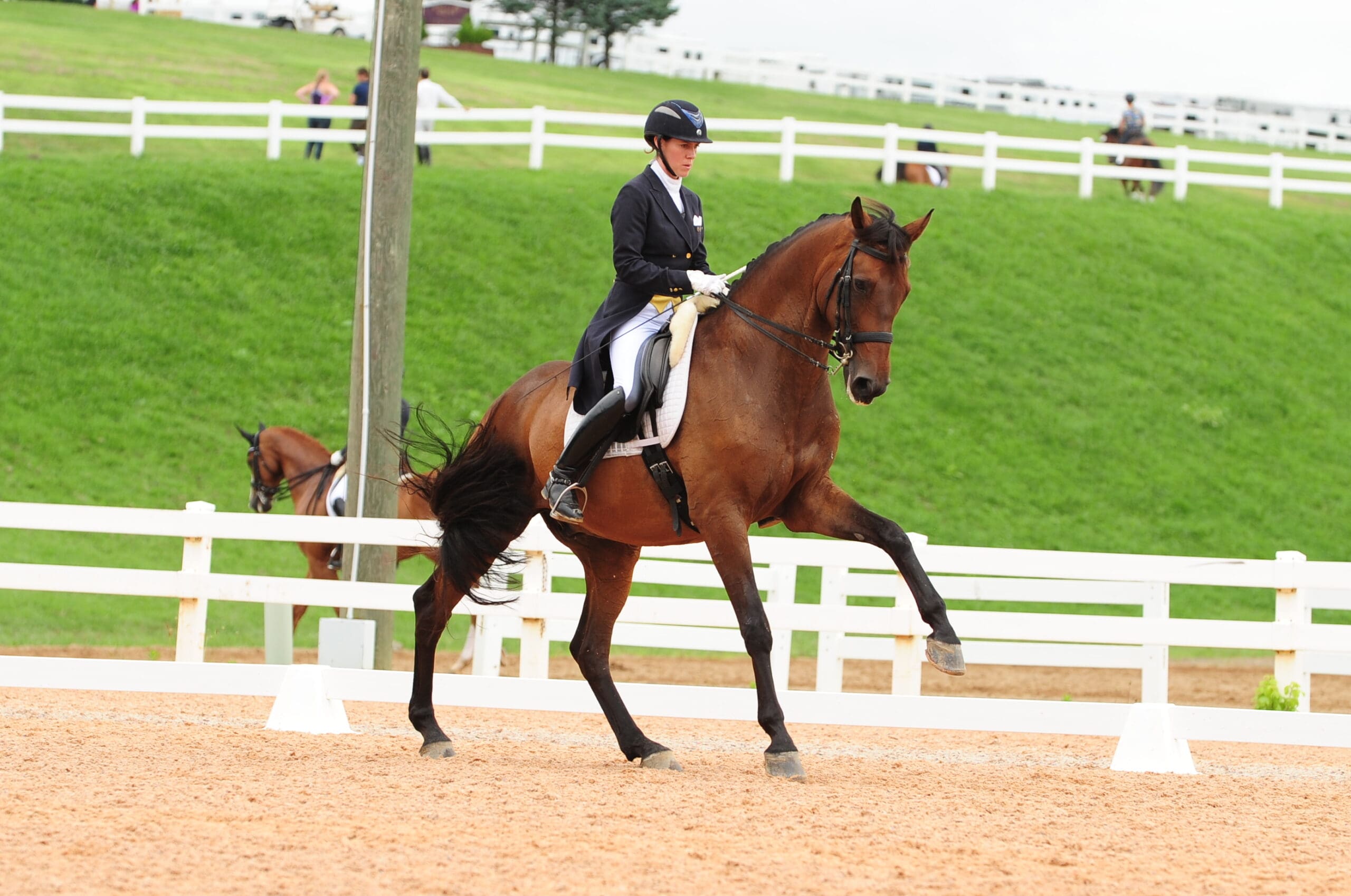 Cover - Olivia Lagoy-Weltz and Rassings Lonoir at Dressage at Lexington. (Photo: courtesy of WN Photography)