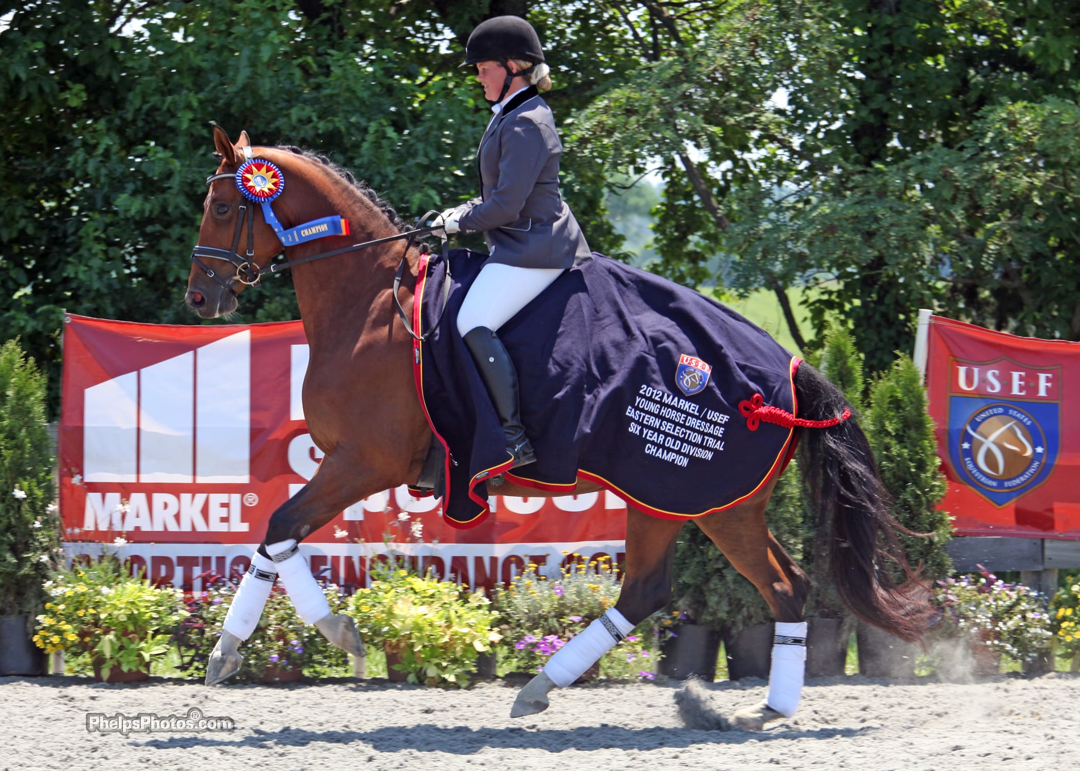 Photo:  Markel/USEF Young Horse Dressage Selection Trial Six-year-old winner Biscaya by Johnson-SPS Hauptstutbuch Audrey by Argentinus, was superbly ridden into the top spot by Ulla Parker. (Photo Credit: Mary Phelps - phelpsphotos.com)