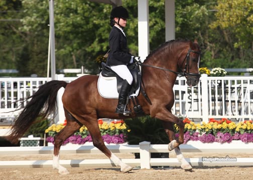 Cover - Emma Patterson of Houston, Texas brought her own Welsh Cob pony Wynshire’s Valiant to win the 13 and under division at the 2012 USEF Dressage Seat Medal Final presented by Dressage Today®79.000%, 2012. (PhelpsPhotos.com)