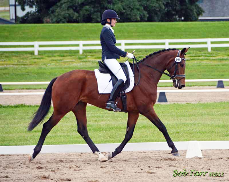 Floretienne by Florestan out of Tamarinde (Jazz - Matador II) owned by Leslie Waterman Photo: Bob Tarr