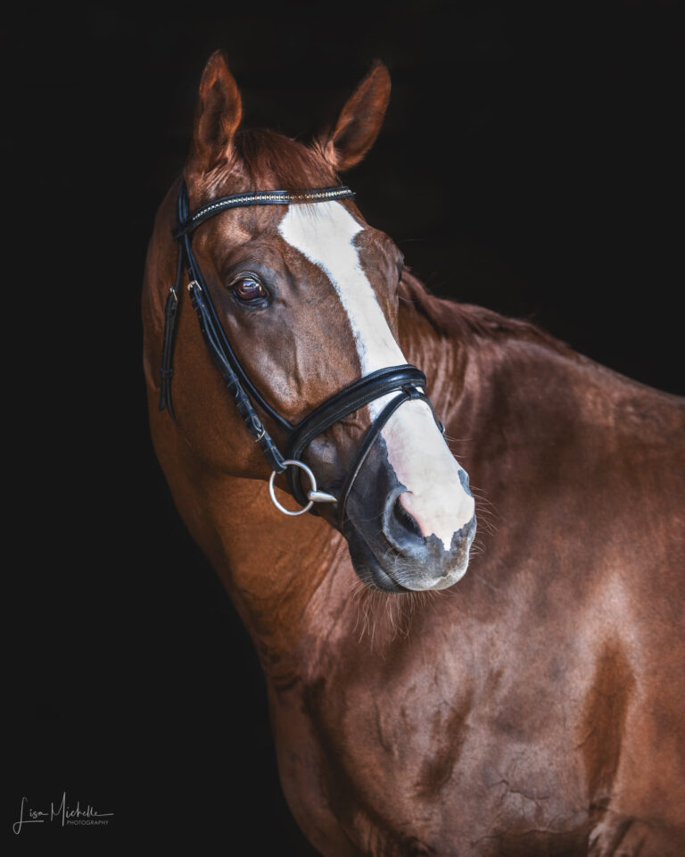 princeton 104 768x960