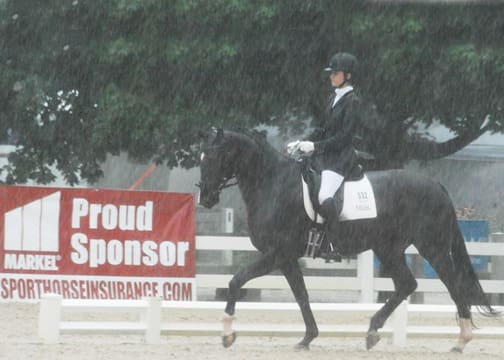 Brandi Benedict (Lovettsville, VA) and Rebellienne HVH (Rotspon x EM Whitney/Welser)