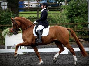 Cover - 6-year-old is the Oldenburg mare, Royal Couer 2, owned and ridden by Marne Martin Tucker, 2011.