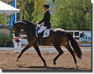 Photo:  Sabine Schut-Kery and Sanceo at the 2011 Markel/USEF Young Horse Dressage Western Selection Trials at the Flintridge Riding Club in CA