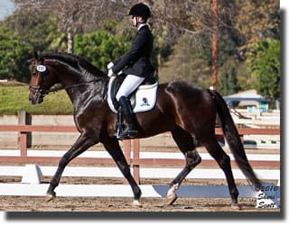 Cover - Sanceo and Sabine Schut-Kery, 2011. (Photo: Sheri Scott for CDS.)