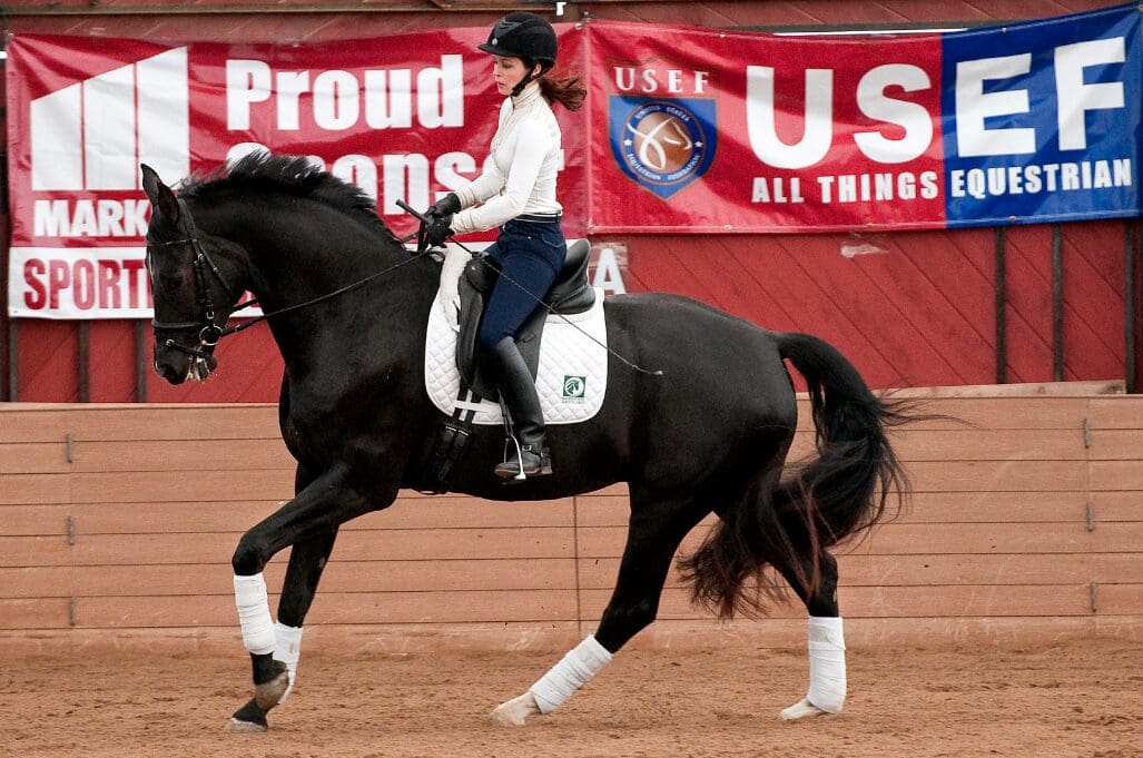 Photo:  Host for the weekend, Dressage trainer at Oak Hill Dressage, Amy Lewis and Sir Steinerman (Stedinger x Donnabella/Don Primero)/5/Amy Lewis/Marlace Hughes. (Photo: David Honor)