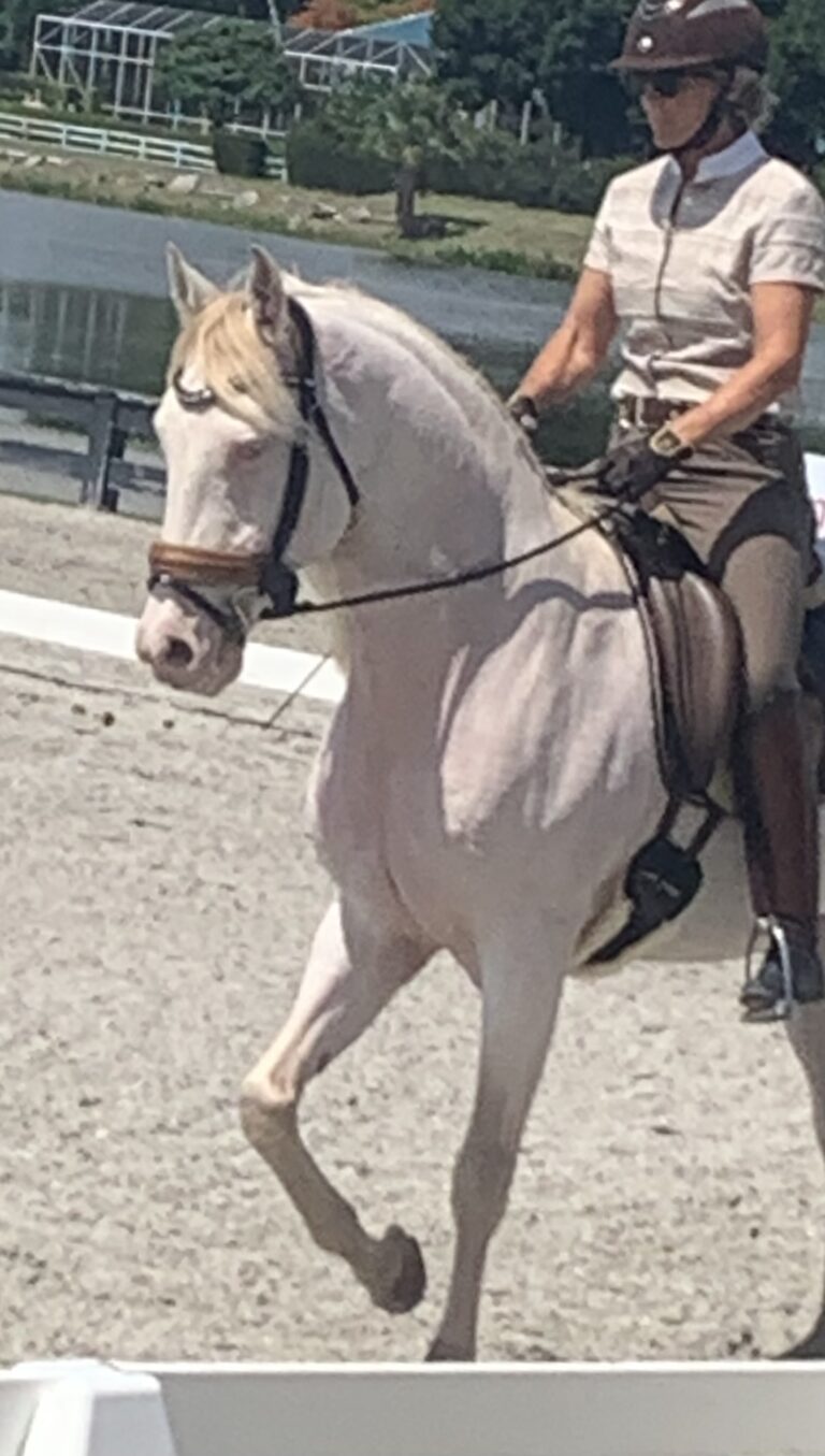 show entry copy 768x1355