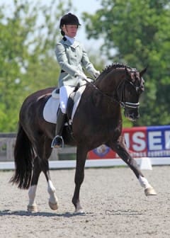 Cover - Alice Tarjan's Hanoverian Stallion Somer Hit, 2012. (Photo:  PhelpsPhotos.com)