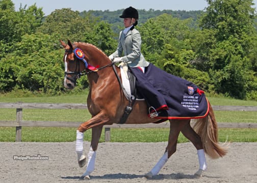 Alice Tarjan (Oldwick, NJ) winning last year's 5-year-old division with the top ranked horse on the six-year-old 2013 Markel/USEF National Young Horse Dressage Ranking List presented by HorseShow.com, her own Oldenburg mare Elfenfeuer (Florencio x Unknown/Sion).