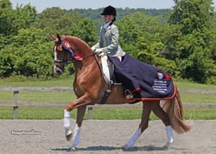 Cover - Alice Tarjan and Oldenburg mare Elfenfeuer (Florencio x Sion) participated in the Markel/USEF Young Horse Program. (Photo: Mary Phelps - phelpsphotos.com)