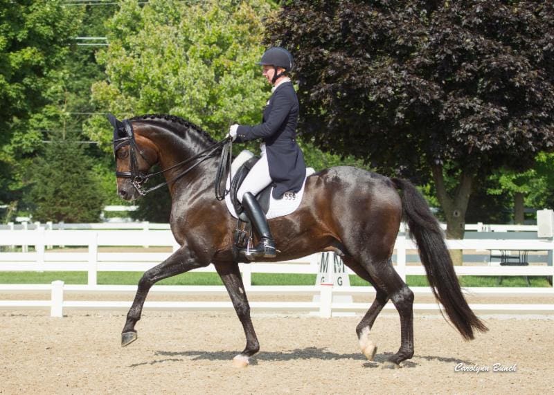 Cover - Sanceo ridden by Sabine Schut-Kery(Photo: Carolynn Bunch Photography)