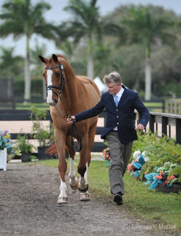 Cover -U.S. Chef D' Equipe Kai Handt jogs Rubicon 75, ridden by Mary Jordan, owned by Vinceremos Therapeutic Riding Center, 2015. (Photo (c) Lindsay Y. McCall)