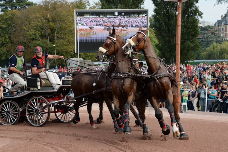 weg2-driving-obstacles-9-6-14-1282-chesterweber-dderosaphoto