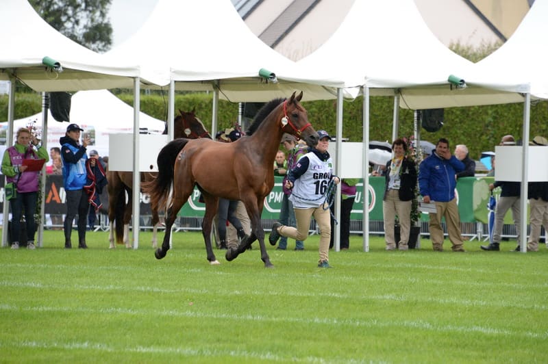 weg2-endurancejog-8-27-14-5707-dderosaphoto