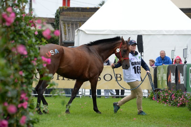 weg2-endurancejog-8-27-14-5718-dderosaphoto