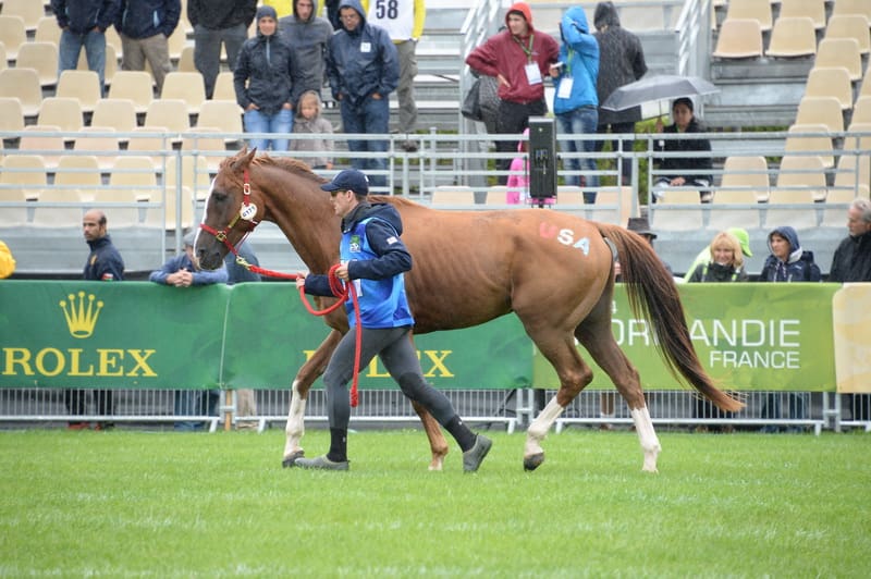 weg2-endurancejog-8-27-14-5726-dderosaphoto