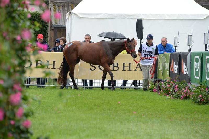 weg2-endurancejog-8-27-14-5748-dderosaphoto