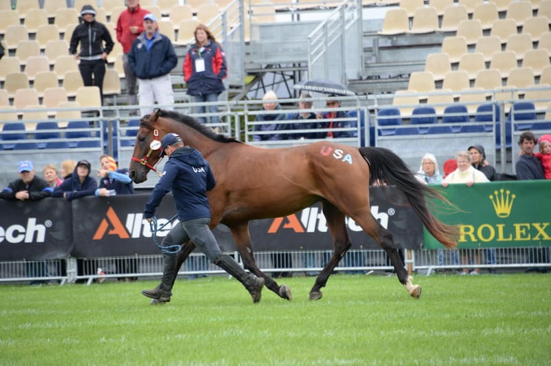 weg2-endurancejog-8-27-14-5881-dderosaphoto