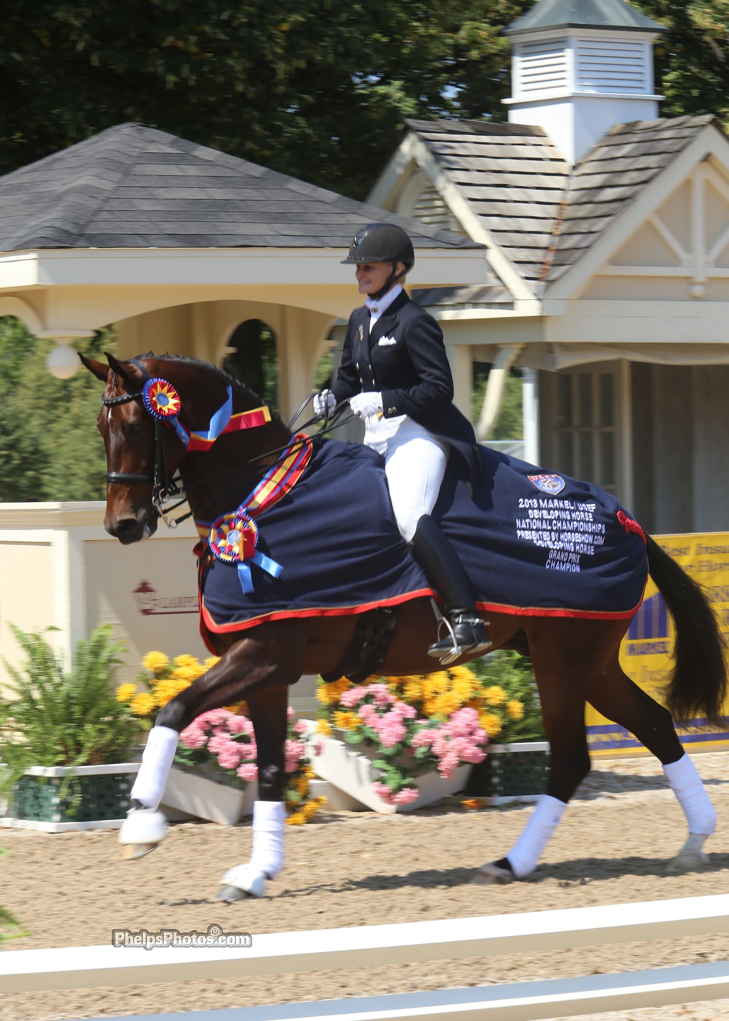 2013 Markel/USEF Developing Grand Prix Champion Laura Wharton-Mero (Woodstock, GA) and her own Zandor (Florencio x Nancy BS/Amulet) Photo: Mary Phelps