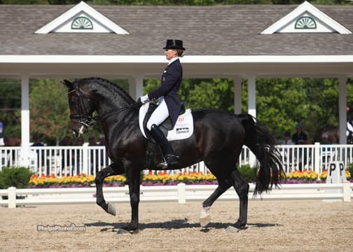 Cover - Pikko del Cerro HU (Pik L- Rohweena by Rohdiamant) ridden by Lisa Wilcox topped the Developing Horse Grand prix Intermediaire II test with a 70.746%. 2012. (PhelpsPhotos.com)