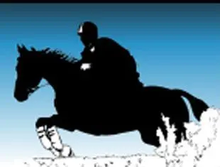 North Dakota & Minnesota Flood Assistance for Equines