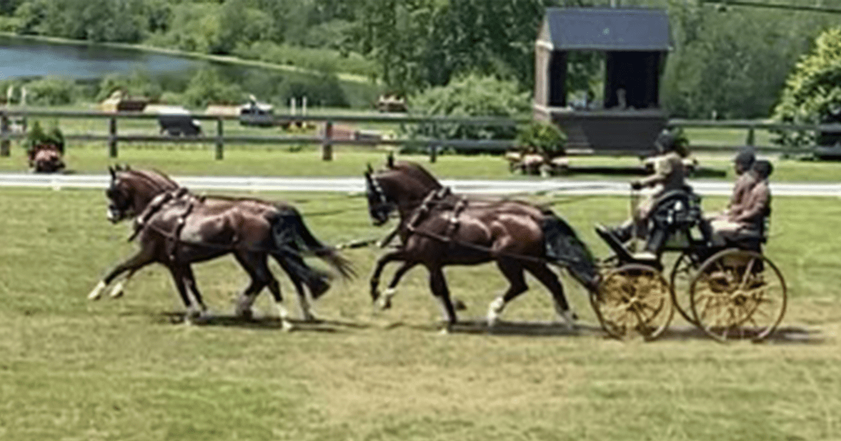 James Fairclough and his team's winning Drive at Bromont 2023
